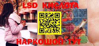 прущие грибы Можайск