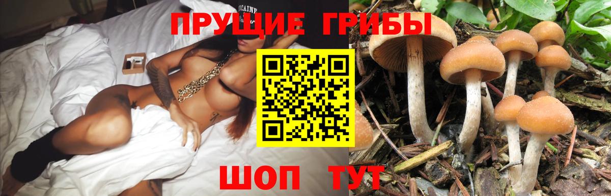 магазин продажи наркотиков  Галлюциногенные грибы мухоморы  Вход с VPN  Рыбинск  Галлюциногенные грибы Psilocybine cubensis 